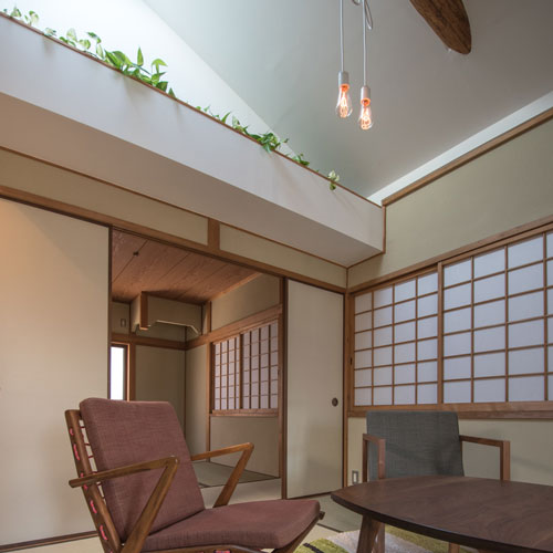 天井にも植栽をしています。
成長すると緑のカーテンができます。