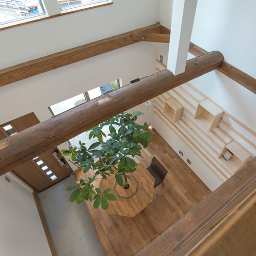 2階から吹抜けを見下ろす。
この木が成長すると吹抜けいっぱいの緑に。