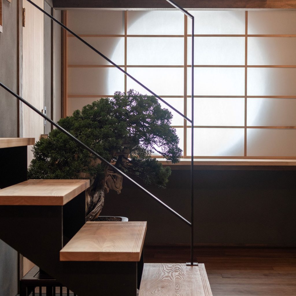 鉢としての家 （リノベーション監修）京都市・木造2階建